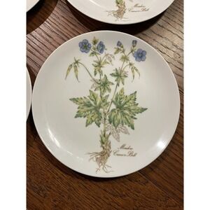 Toscany Collection‎ BOTANICAL 7.5" Plates Meadow Crane's Bill/Stream Violet